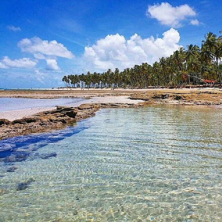 ECO RESORT PRAIA DOS CARNEIROS BY CANTO DA PRAIA